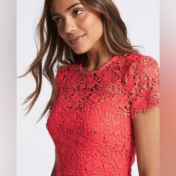 M&S Collection • Lace Sheath Short Sleeve Bodycon Midi Dress - Picture 4 of 16
